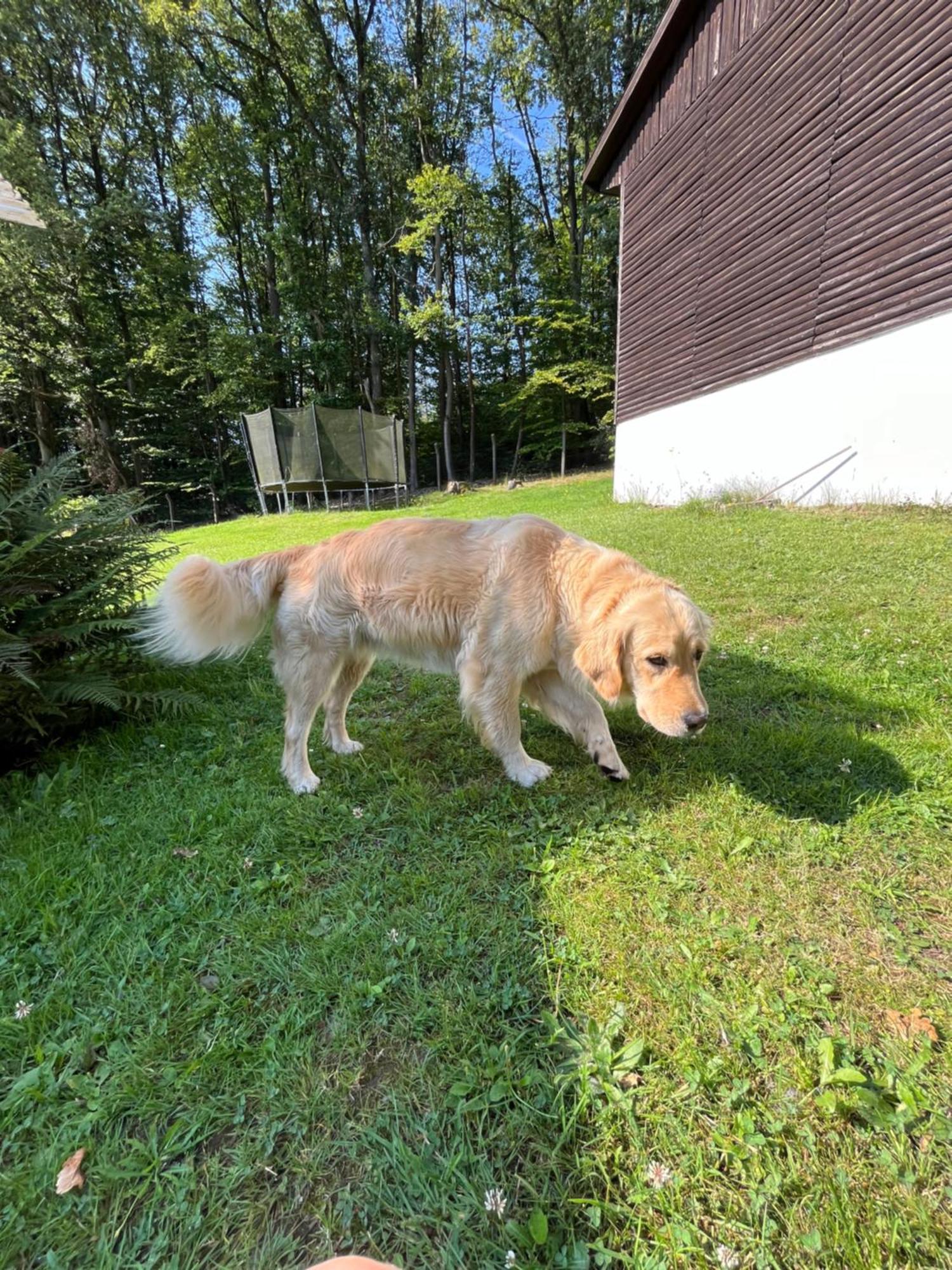 Hotel Ferienheim Mosbach Wutha-Farnroda Esterno foto
